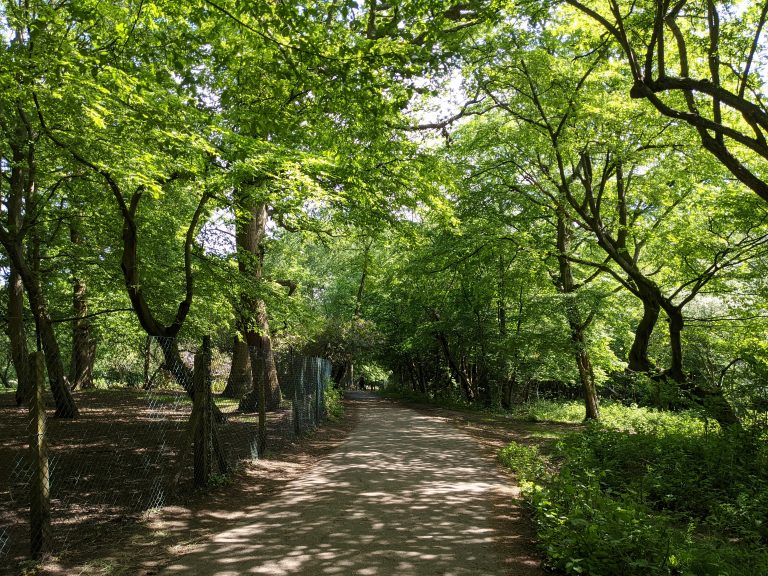 Nature and Happiness