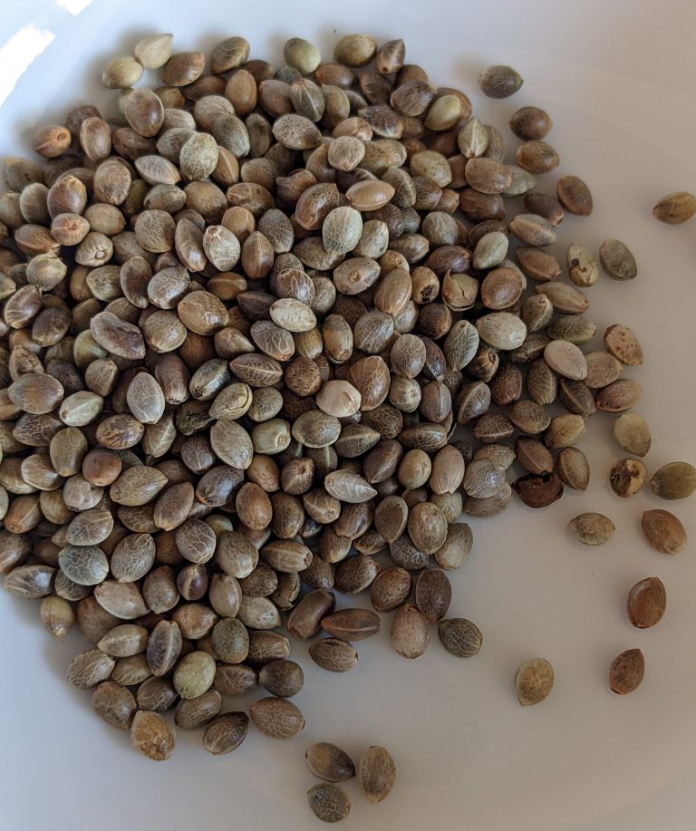 Hemp Seeds Nutrition Benefits