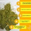 superfood-moringa-tea-buy-moringa-tea-bags-online-oleifera-leaf-tea-100g-buy-cheap-moringa-tea-online-uk