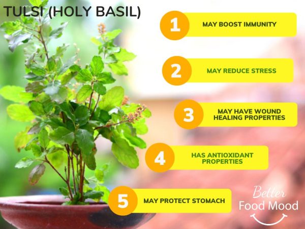 moringa-tulsi-tea-herbal-teas-for-health-50-tea-bags-100g-oleifera-leaf-holy-basil-tea-no-caffeine-teas-buy-cheap-moringa-tulsi-tea-online-uk
