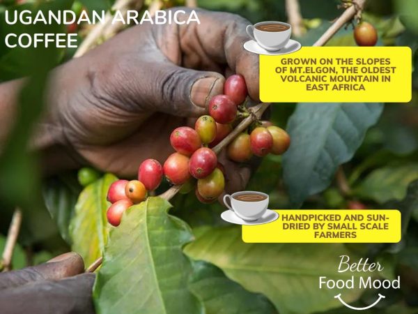 ugandan-dark-roast-100-arabica-coffee-beans-100g-single-origin-strong-coffee-beans-for-espresso-mt-elgon-buy-good-quality-coffee-beans-online-uk