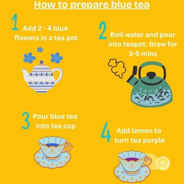 butterfly pea tea