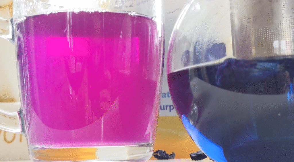 buy butterfly pea tea online